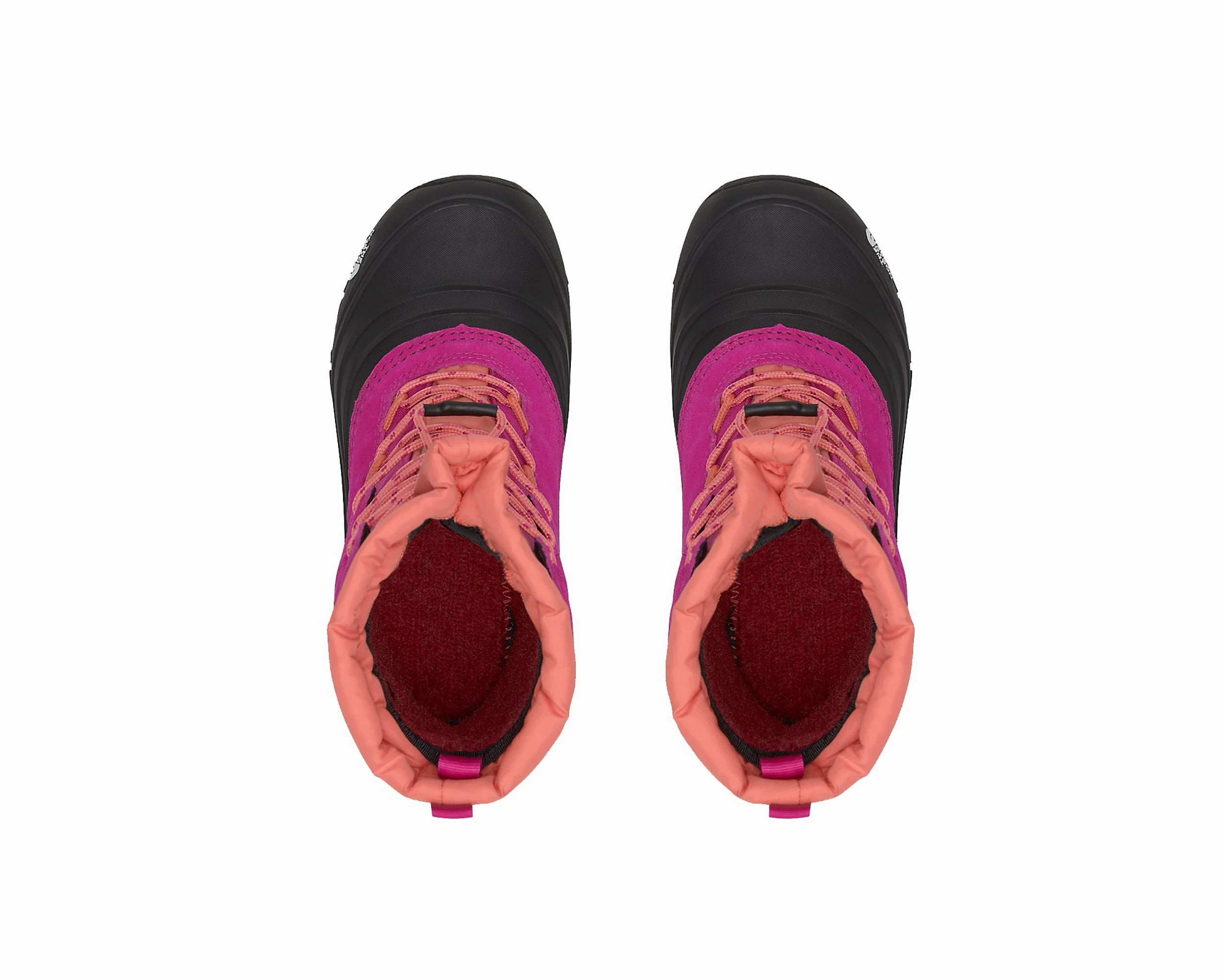 FUSCHIA PINK CORAL SUNRISE