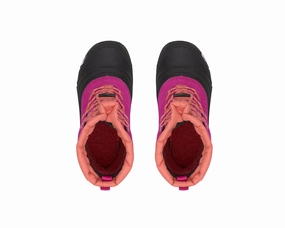 FUSCHIA PINK CORAL SUNRISE