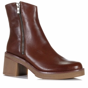 Protective Build Bresley Dizzy Castagna