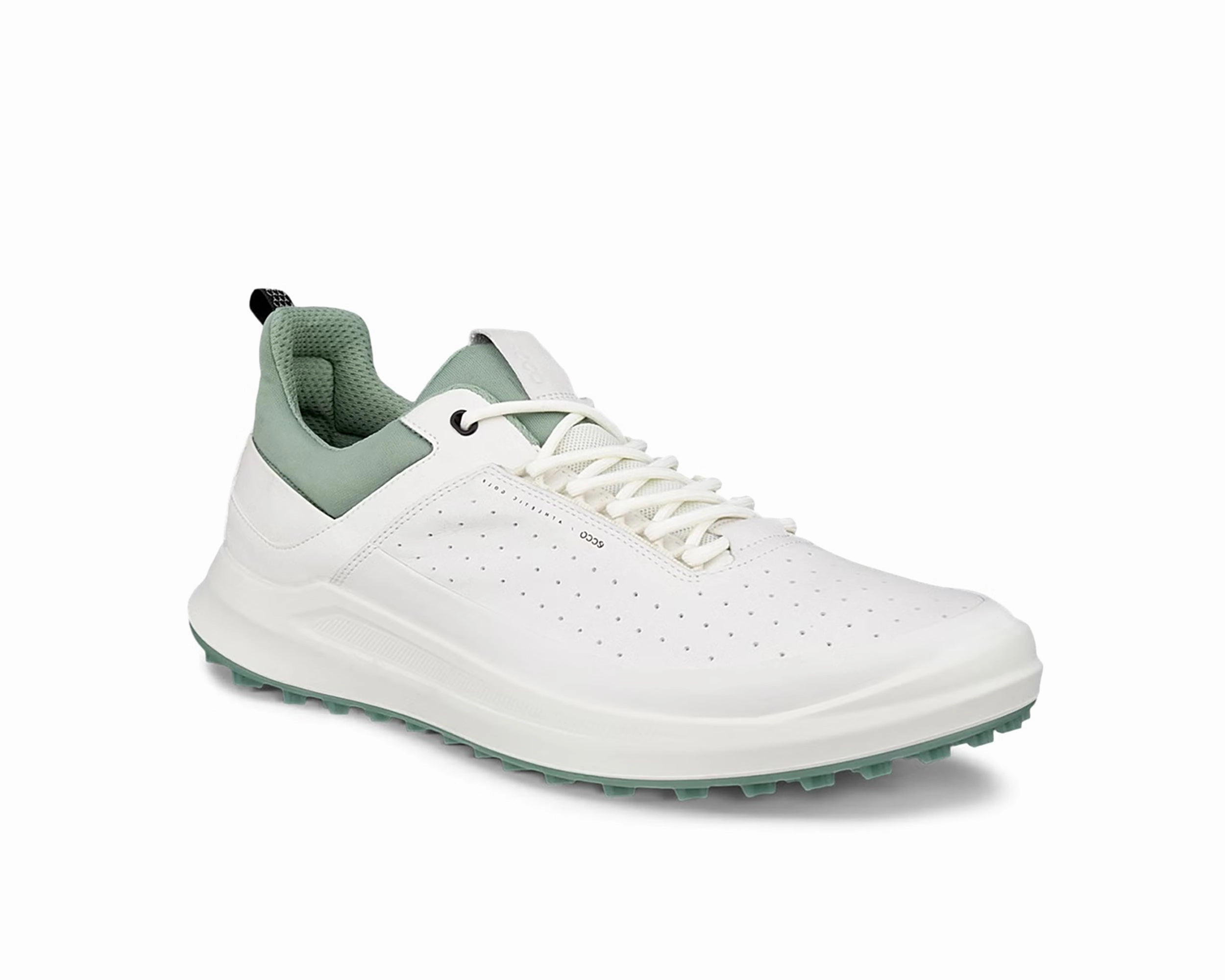 Men`s Golf Core Leather Golf Shoe easy move