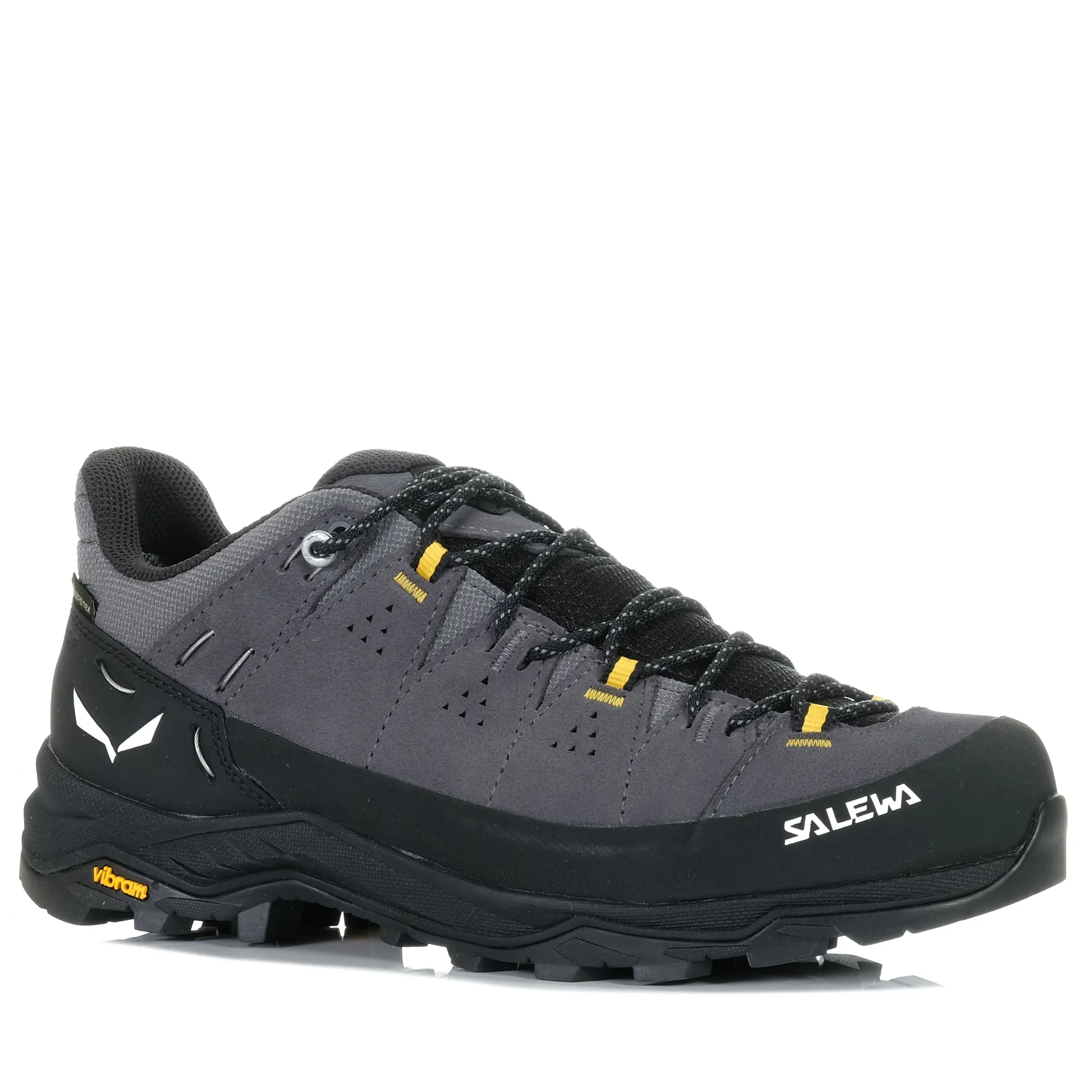 Salewa Alp Trainer 2 GTX Onyx/Black track - and - field shoe functionality