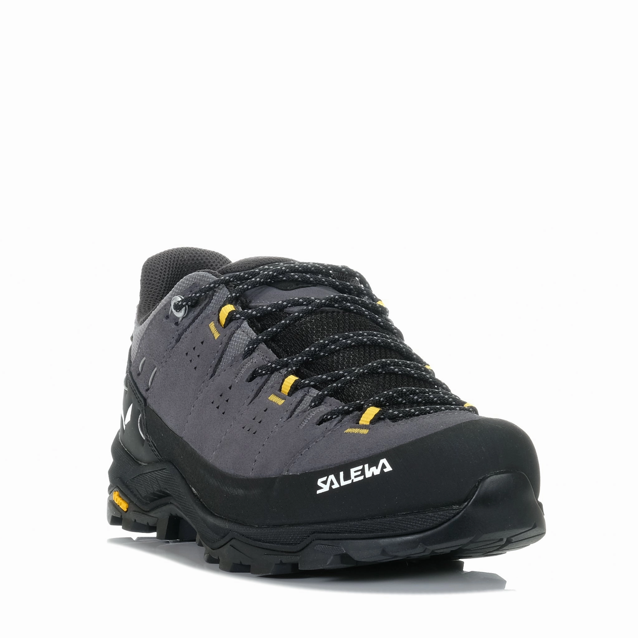 Salewa Alp Trainer 2 GTX Onyx/Black Light - weight components