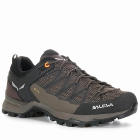 weather - resistant shoes Salewa Mountain Trainer Lite GTX Walnut/Orange