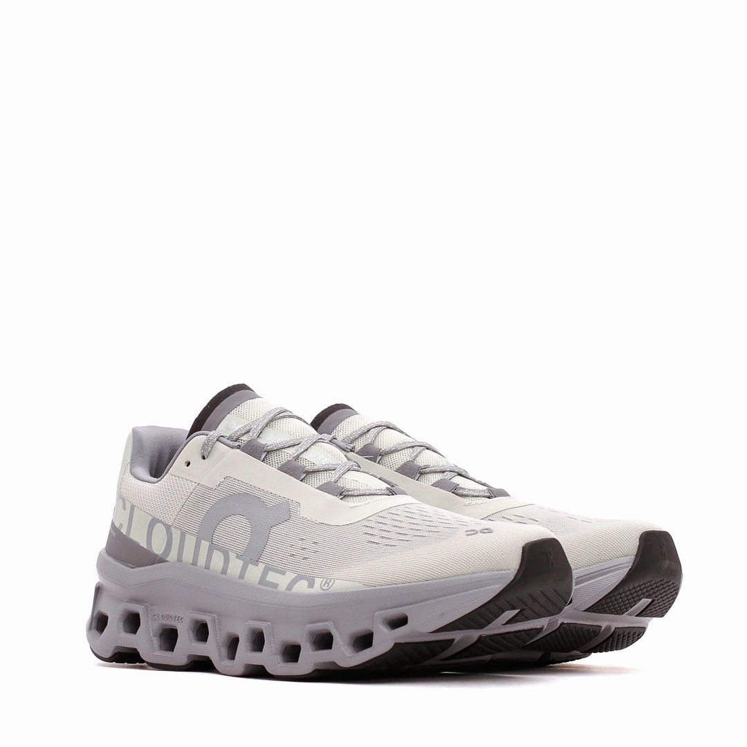 Soft Motion Step ON Men Cloudmonster Ice Alloy 61.97788